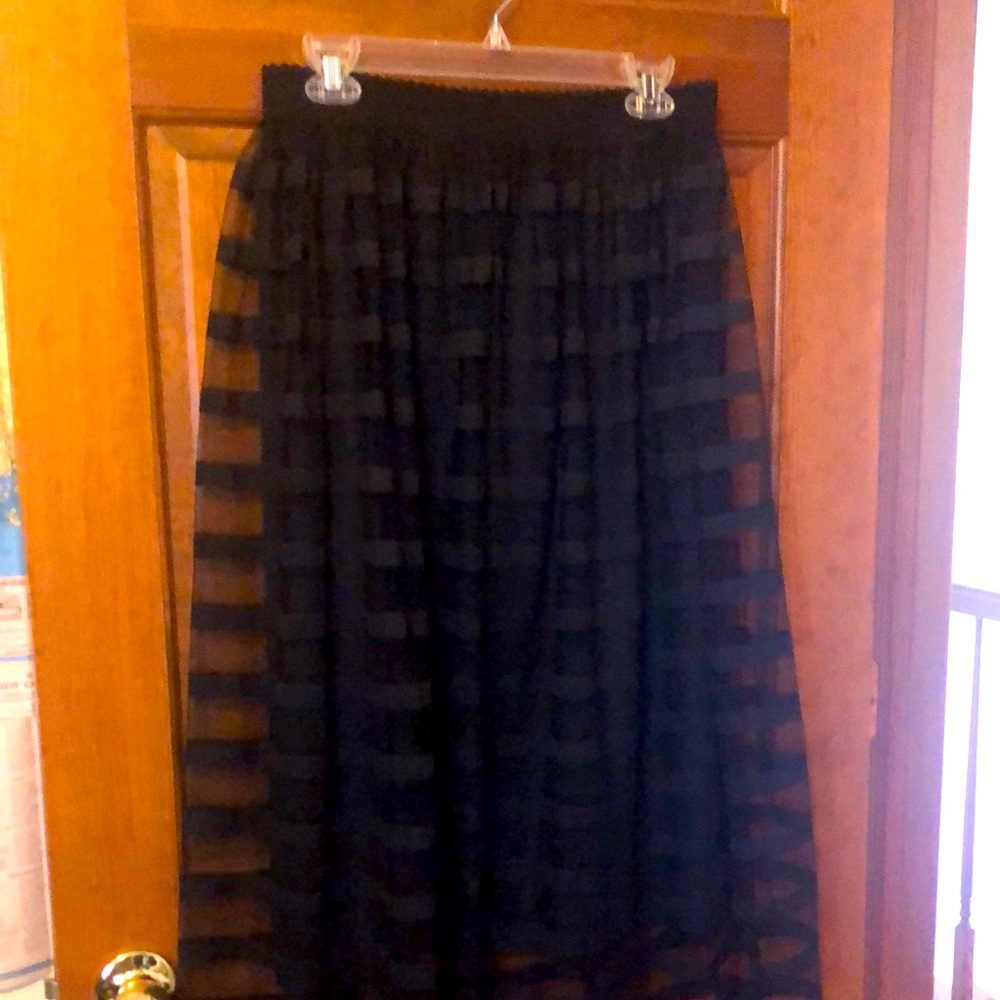 Metro Wear Black Sheer A-Line Skirt with Liner